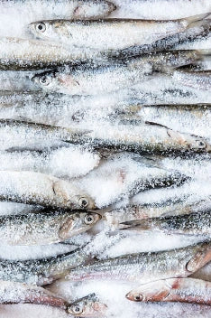 Peste & Fructe de Mare Congelate