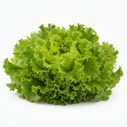 Salata Lollo Bionda