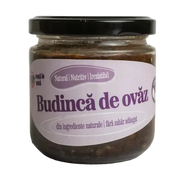 Iezeres Budinca de ovaz cu nuci, roscove si merisoare