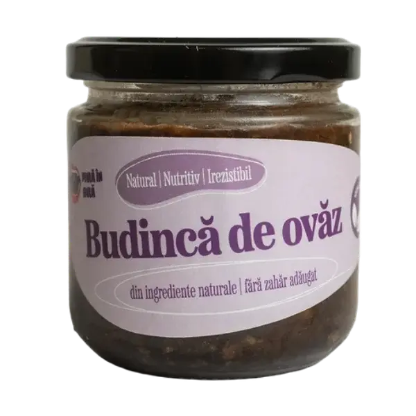 Iezeres Budinca de ovaz cu nuci, roscove si merisoare