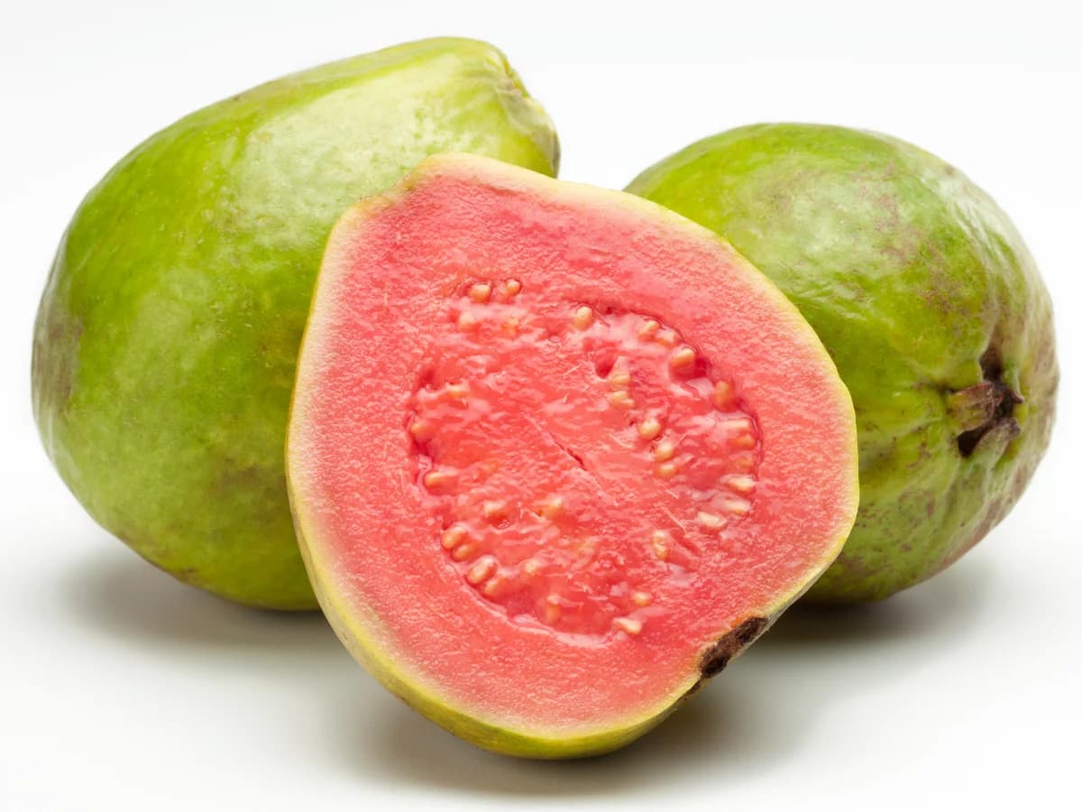 Guava Tropical Fruit Paradise, Bucata